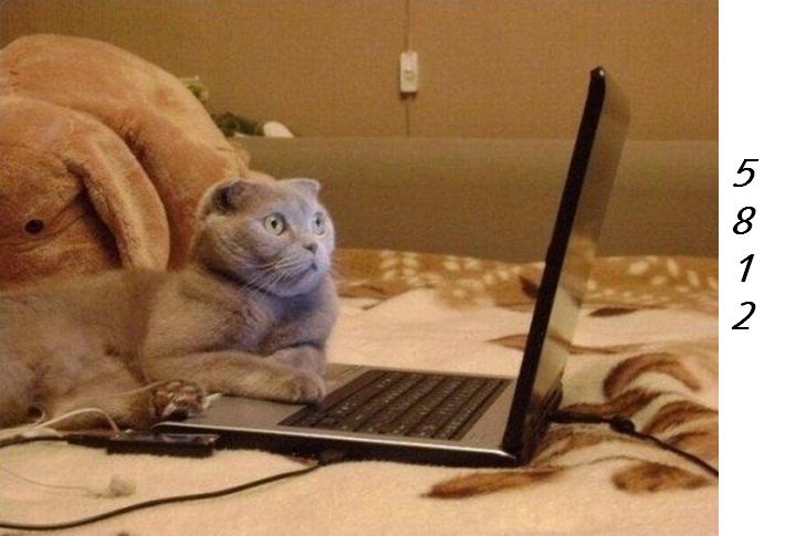 Die Links zu den Sternenkinder (DAX Spiel) 303726