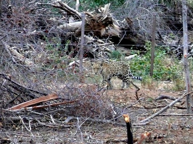 Deutsche Post 582100