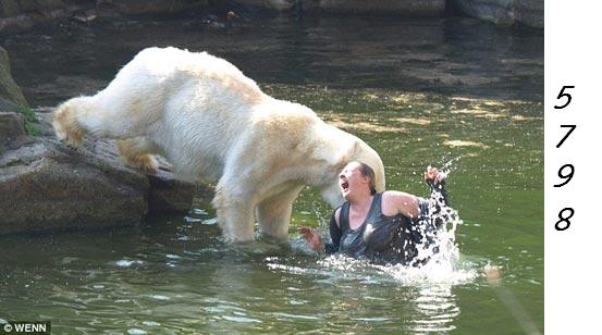 Die Links zu den Sternenkinder (DAX Spiel) 304054