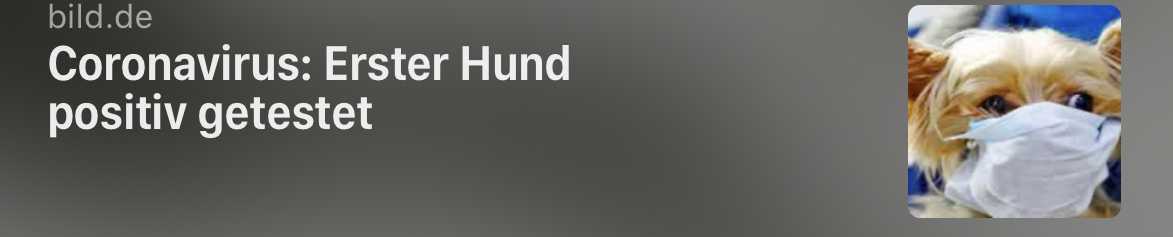 2020 QV-GDAXi-DJ-GOLD-EURUSD-JPY 1163112