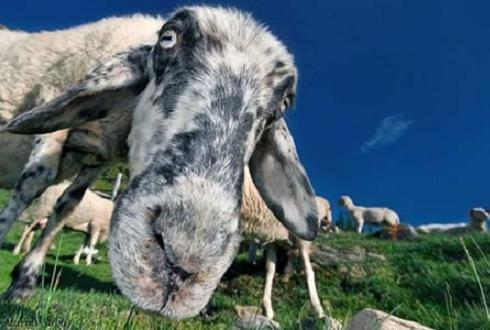 984.DAX Tipp-Spiel Mittwoch,25.02.09.17.45 Uhr 218314