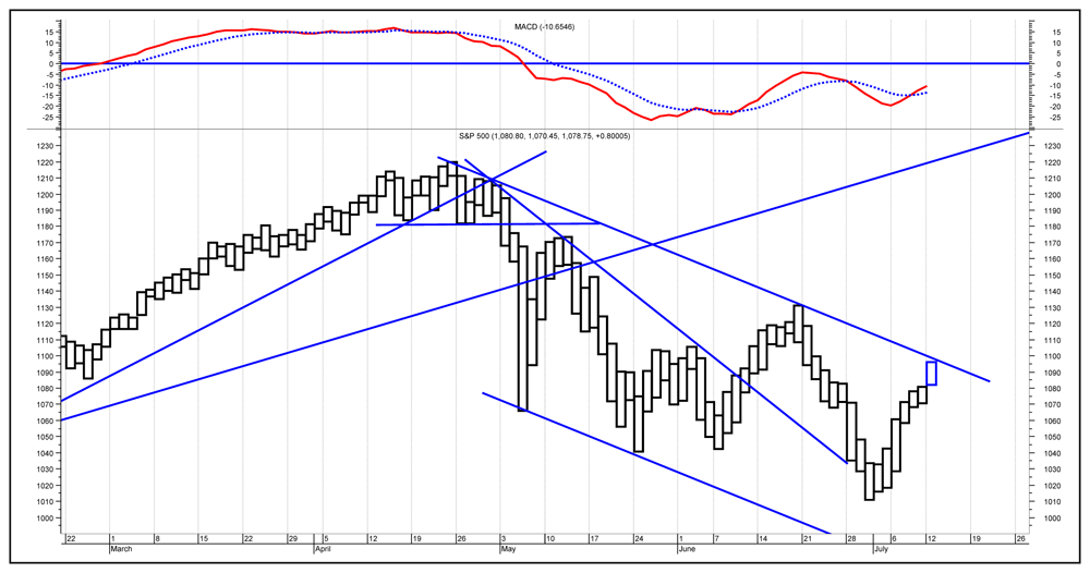 Der USA Bären-Thread 332125