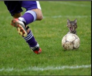 Conergy, wie Phönix aus der Asche ? 287861