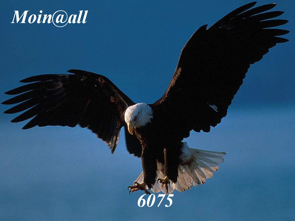 1.260.DAX Tipp-Spiel, Montag, 29.03.10 309933