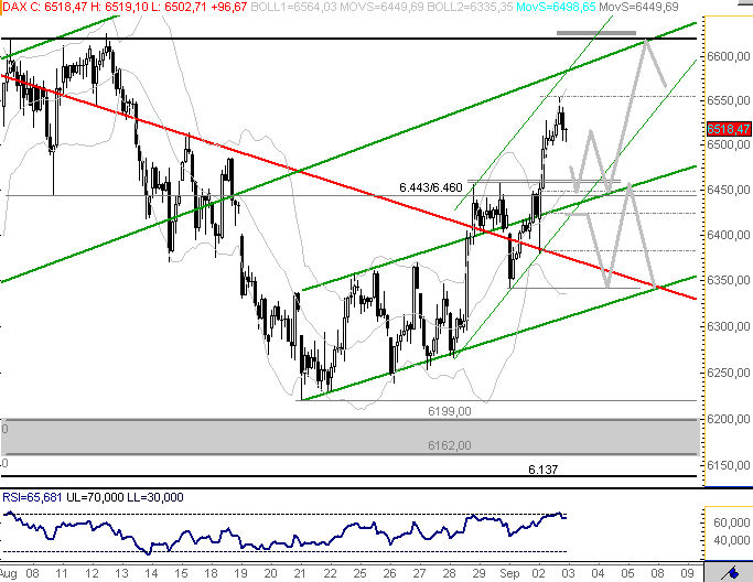 Die Bullen scharren gar nicht mit den Hufen, 183980