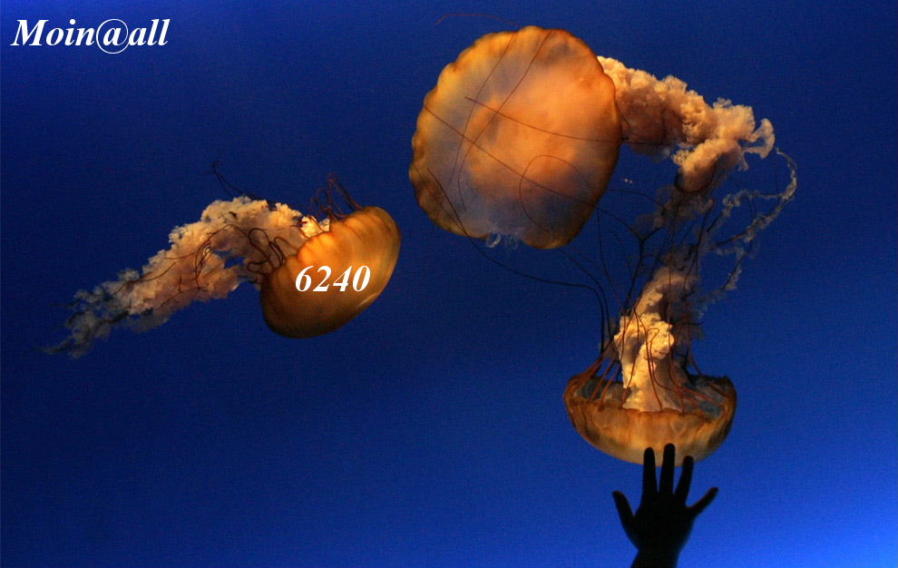 1.385.DAX Tipp-Spiel, Mittwoch, 22.09.10 346502