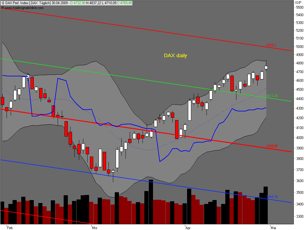 Die Bullen scharren gar nicht mit den Hufen, 230563