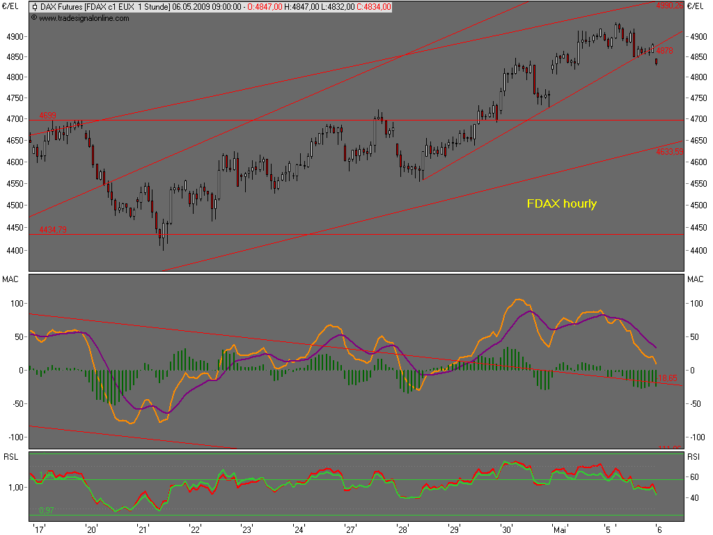Die Bullen scharren gar nicht mit den Hufen, 231272