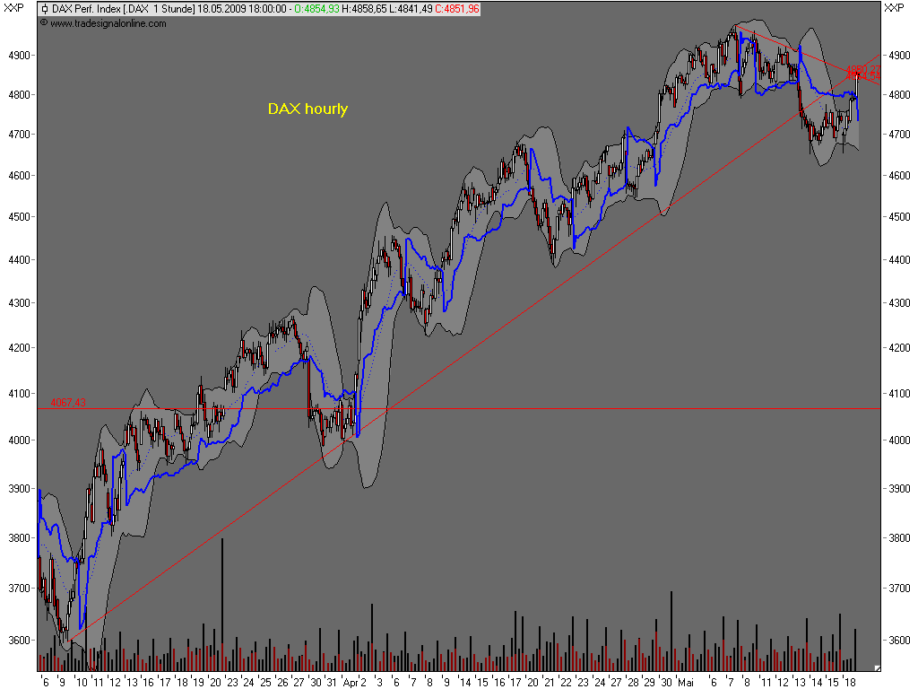Die Bullen scharren gar nicht mit den Hufen, 233630