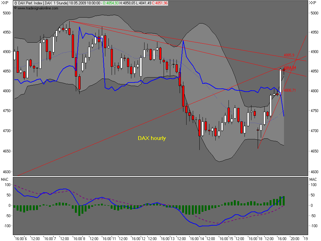 Die Bullen scharren gar nicht mit den Hufen, 233642