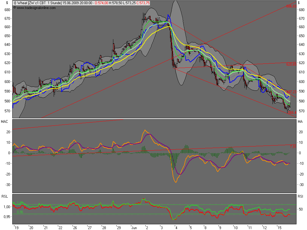 Die Bullen scharren gar nicht mit den Hufen, 238845