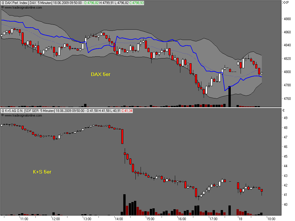 Die Bullen scharren gar nicht mit den Hufen, 239440