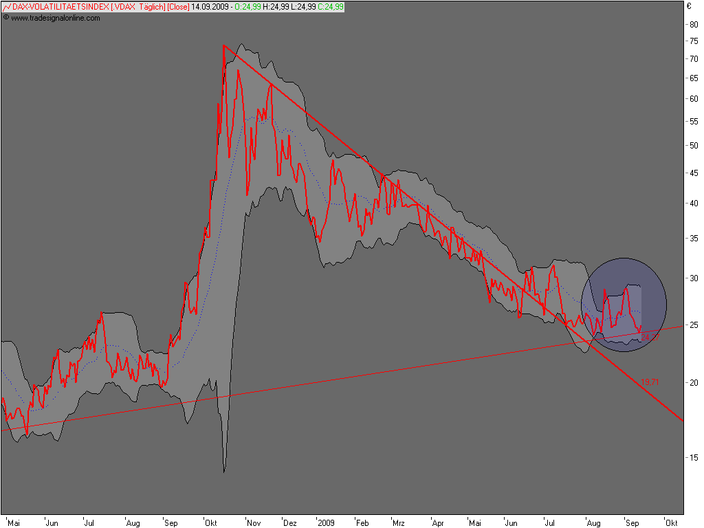 Die Bullen scharren gar nicht mit den Hufen, 259567