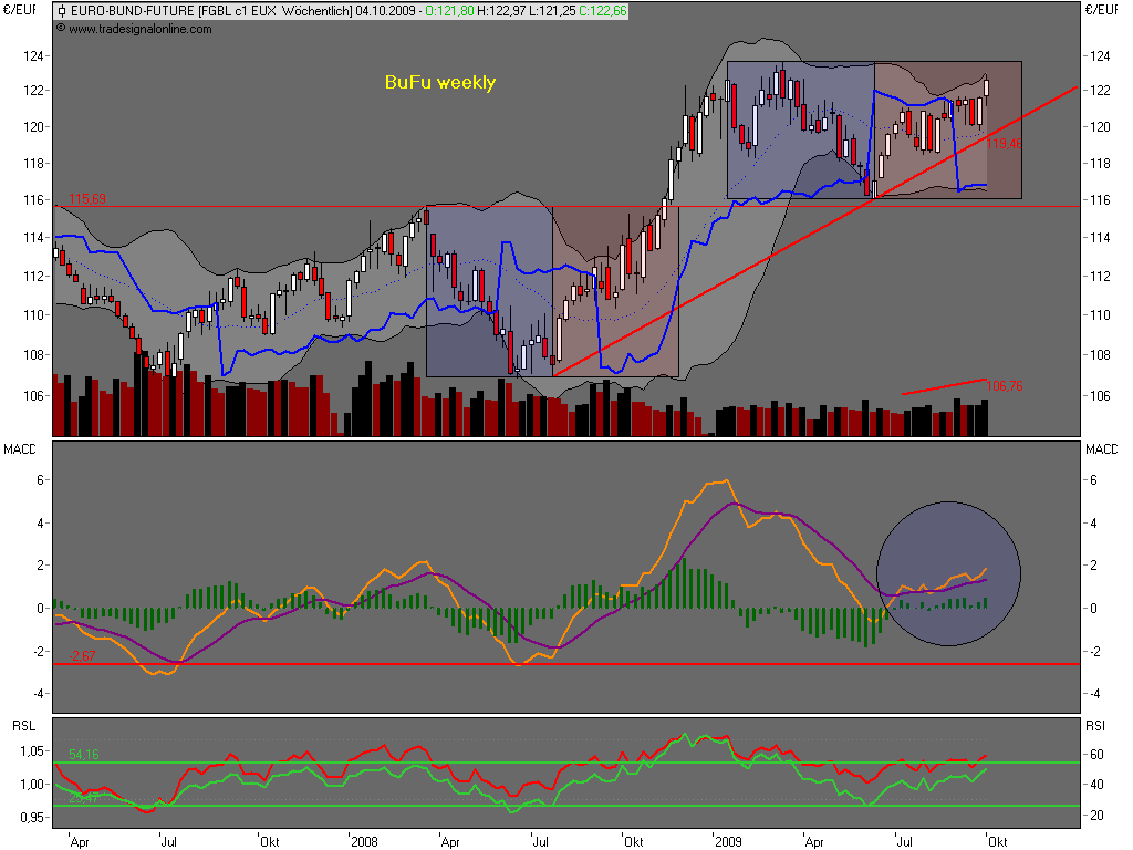 Die Bullen scharren gar nicht mit den Hufen, 264116