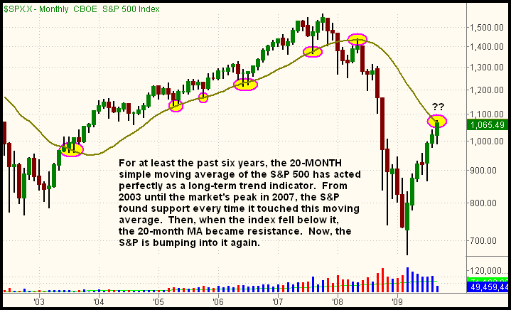 Der USA Bären-Thread 260927