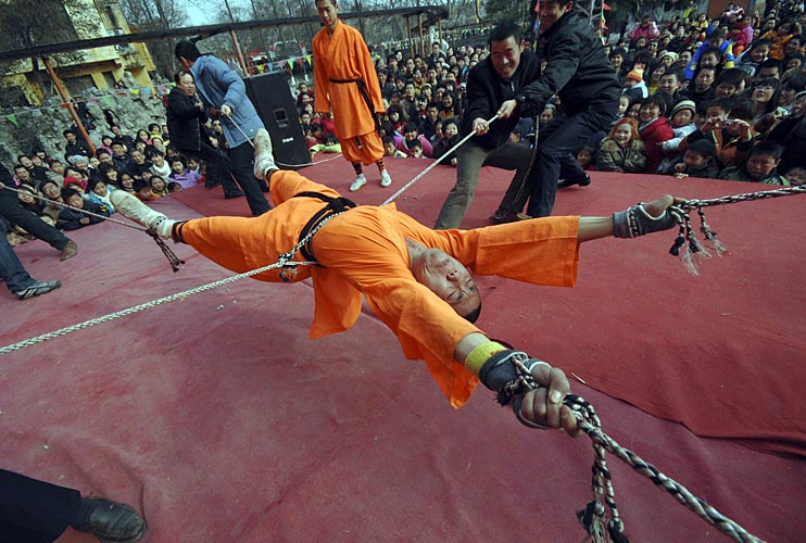 Leser des Bären-threads 162273