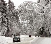 Öl, heiße Wette für kalte Wintertage. 213450