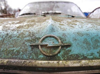 Der USA Bären-Thread 405075