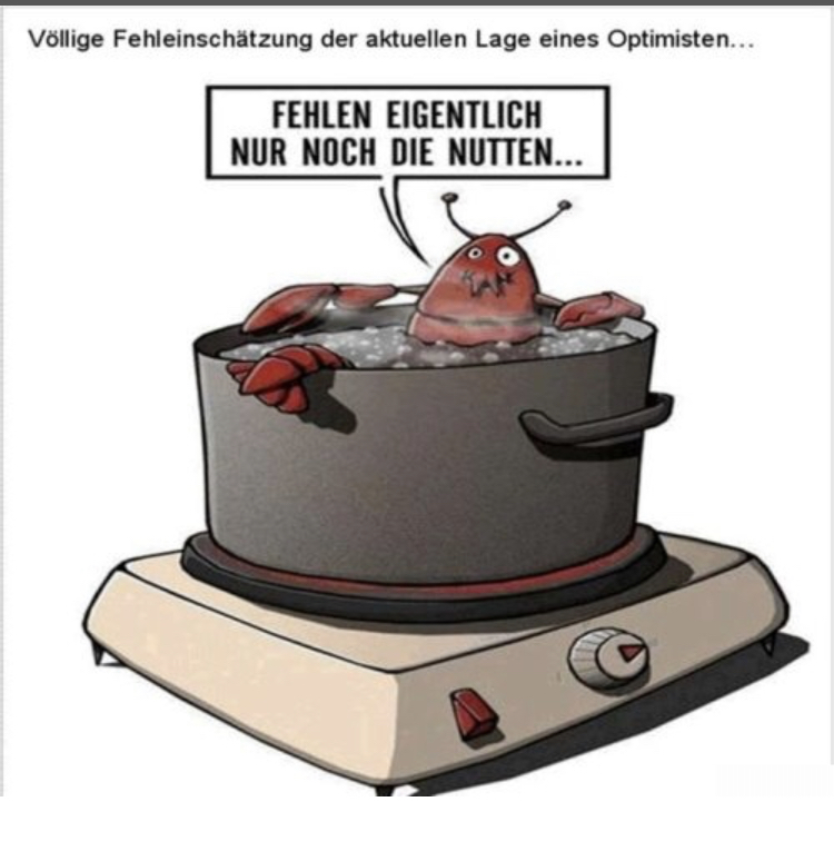 NIKOLA Corporation US6541101050 Nachfolge Thread V 1201085