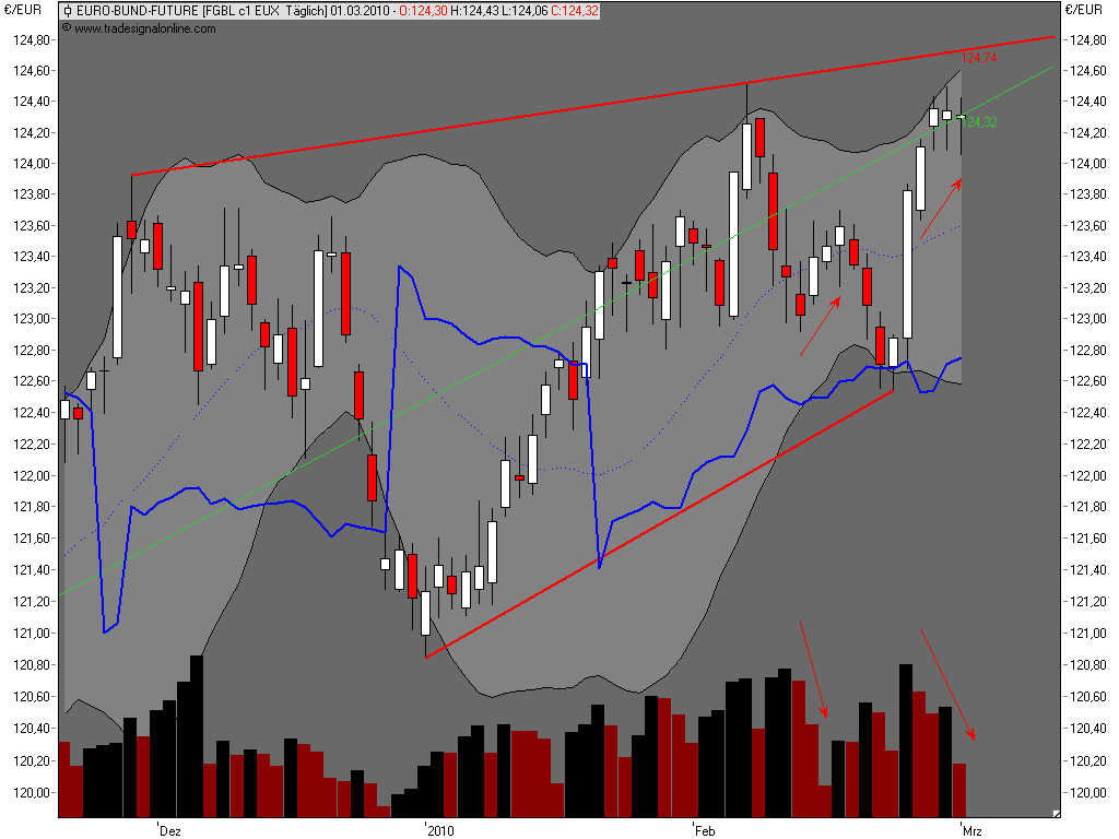 Die Bullen scharren gar nicht mit den Hufen, 303025