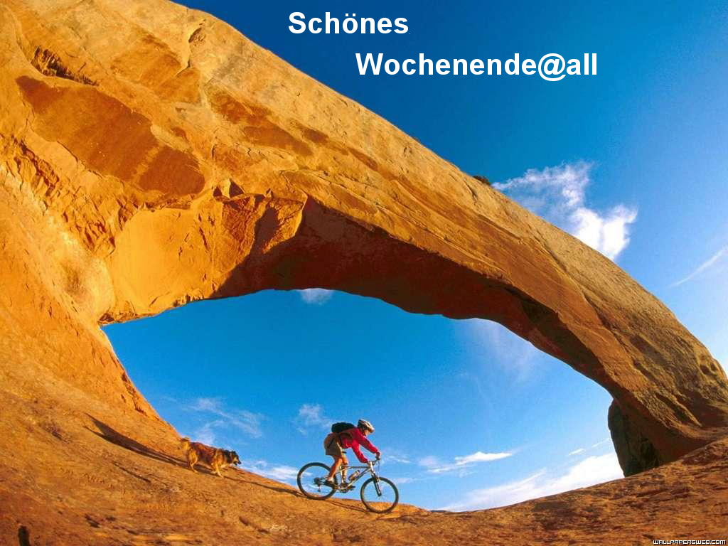 937.DAX Tipp-Spiel *Montag* 15.12.08, 17.45 Uhr 205315