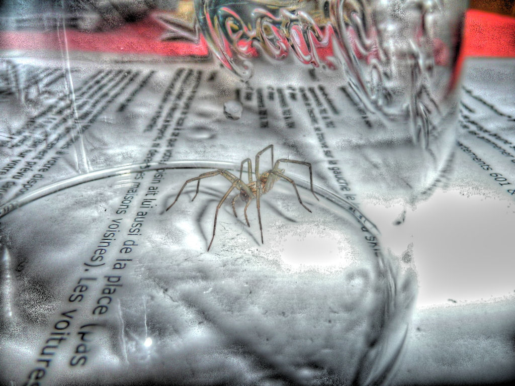 730.DAX Tipp-Spiel, Montag, 25.02.08 150537