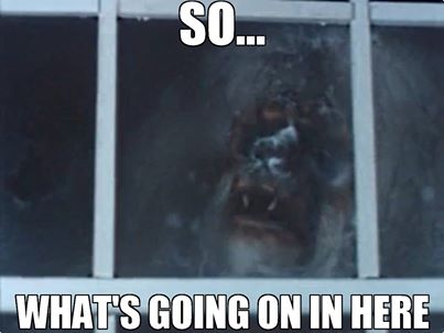 Pures Dynamit 300% +x möglich 720557