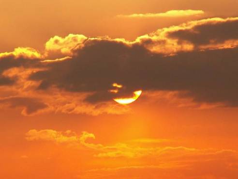 556.DAX Tipp-Spiel, Dienstag, 19.06.07 104159