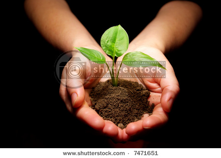 SOLARBROOK WATER DL-01WKN:A0NAS3 SurvivalThread 178177