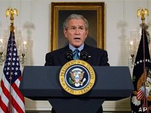 Die Bullen scharren gar nicht mit den Hufen, 189602