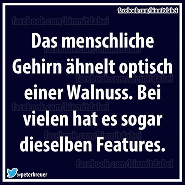 Nordex Akte X 772897