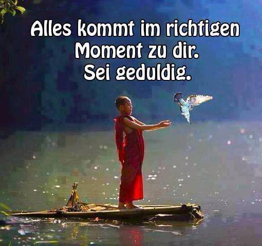 Positive Zukunft mit Verity Corp.(VRTY) 771980