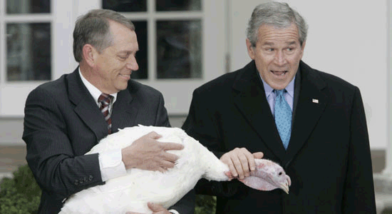 Der Antizykliker-Thread 202349