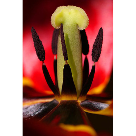 566.DAX Tipp-Spiel, Dienstag, 03.07.07 106910