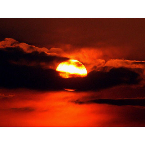 565.DAX Tipp-Spiel, Montag, 02.07.07 106701