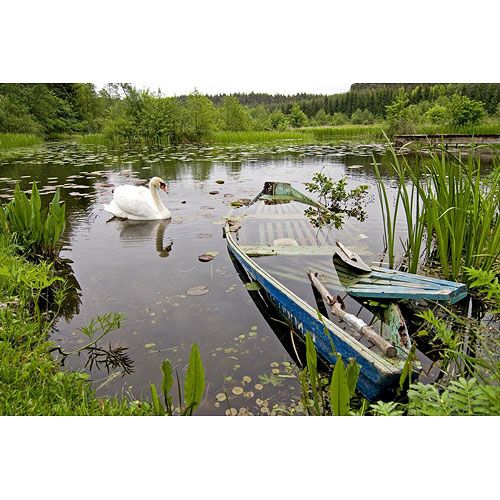 569.DAX Tipp-Spiel, Freitag, 06.07.07 107778