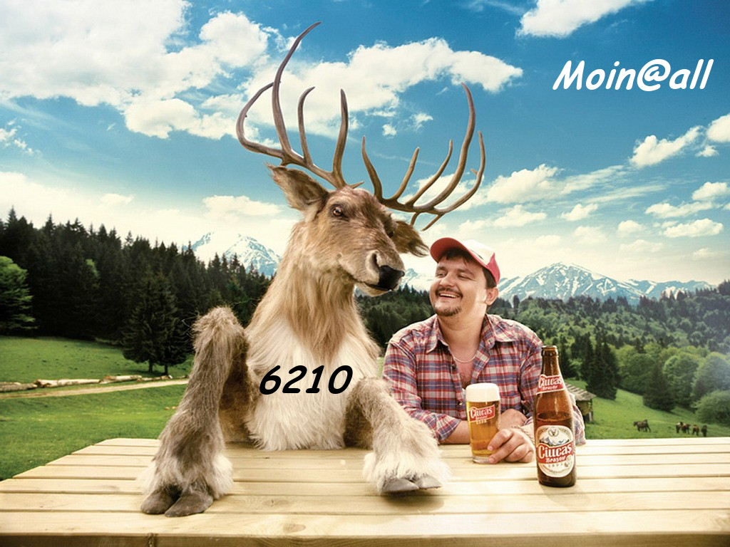 Die Links zu den Sternenkinder (DAX Spiel) 314565