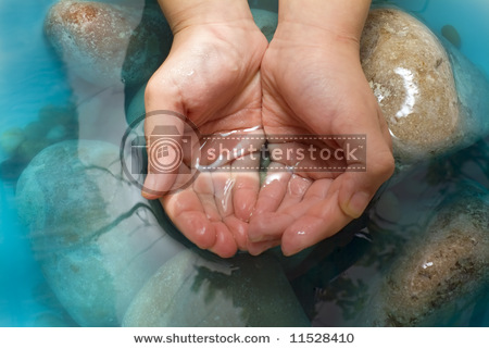 SOLARBROOK WATER DL-01WKN:A0NAS3 SurvivalThread 178178