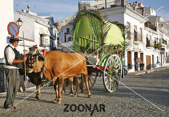 641.DAX Tipp-Spiel, Dienstag, 16.10.07 125781