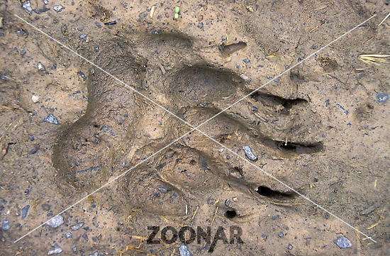 639.DAX Tipp-Spiel, Freitag, 12.10.07 125415