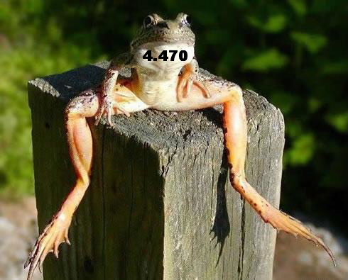 919.DAX Tipp-Spiel *Mitwoch* 19.11.08, 17.45 Uhr 200411