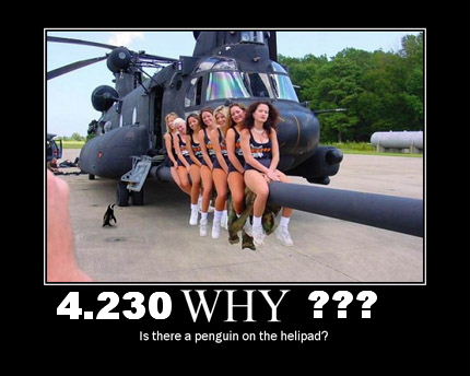 961.DAX Tipp-Spiel,Freitag,23.01.09, 17.45 Uhr 212131