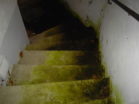 Dax & Co. - deutsche Aktien ins Depot! 688427