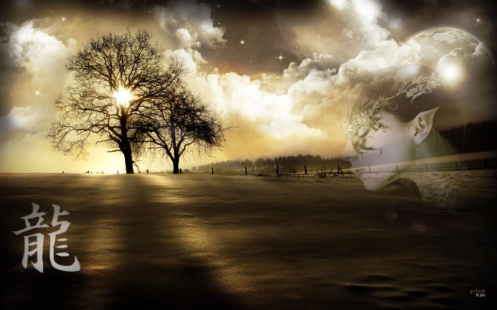 869.DAX Tipp-Spiel *Mittwoch* 10.09.08, 17.45 Uhr 185039