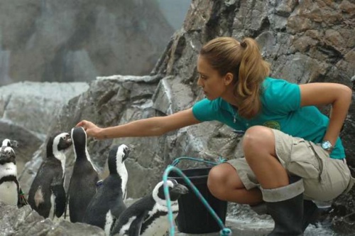 799.DAX Tipp-Spiel, Mittwoch, 04.06.08, 17:45 Uhr 167006