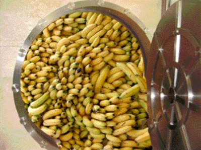 Der USA Bären-Thread 207699