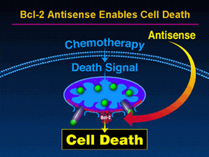 Nächster Megazock: Genta 240250