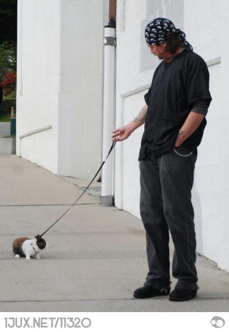 E.on SE - Chance oder Risiko 611059