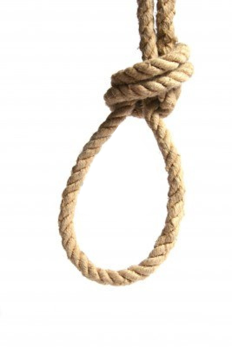 QV ultimate (unlimited) 655995