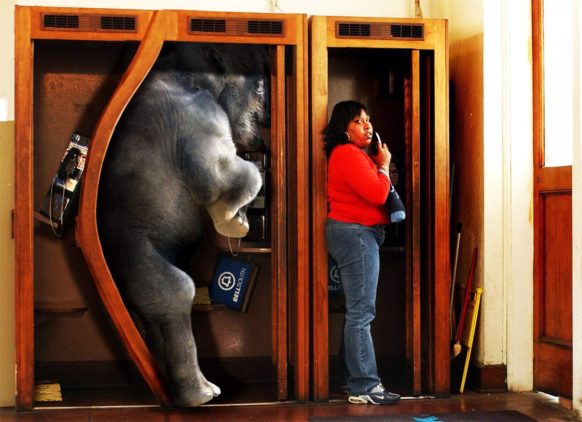 595. DAX Tipp-Spiel, Montag, 13.08.07 114305